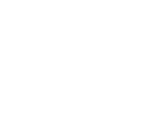 We Are FSTVL 2022 Payment Plan